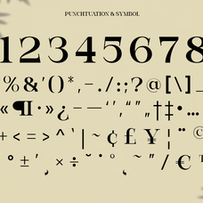 bevola-modern-elegant-serif-font-unknown-creator-9.png