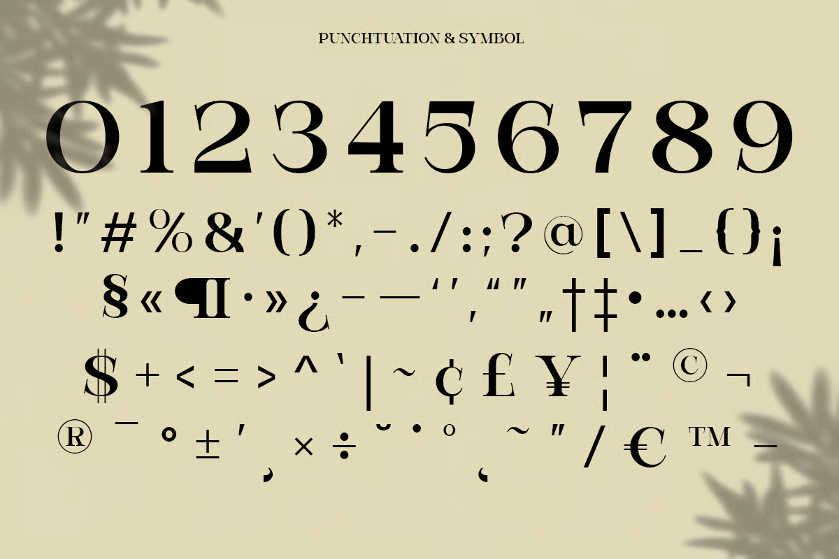 bevola-modern-elegant-serif-font-unknown-creator-9.png