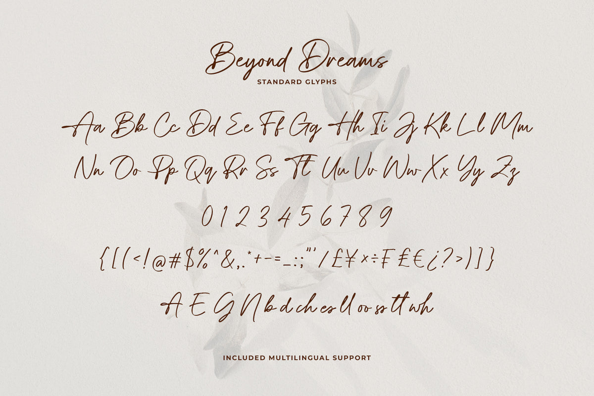 beyond-dreams-modern-signature-script-font-unknown-creator-13.jpg