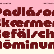 bhisk-chunky-sans-serif-the-native-saint-club-3.jpg