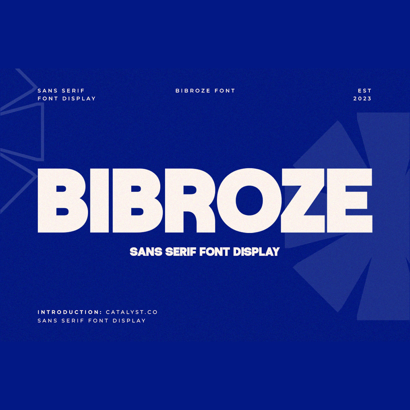 bibroze-sans-serif-display-font-catalystco-studio-1.jpg
