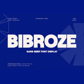Bibroze Sans Serif Display Font