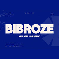 Bibroze Sans Serif Display Font
