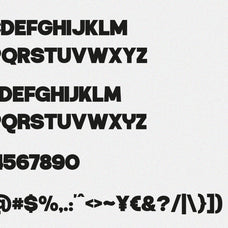 bibroze-sans-serif-display-font-catalystco-studio-2.jpg