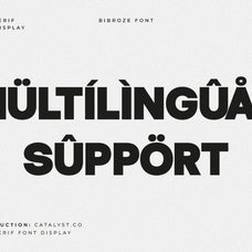 bibroze-sans-serif-display-font-catalystco-studio-4.jpg