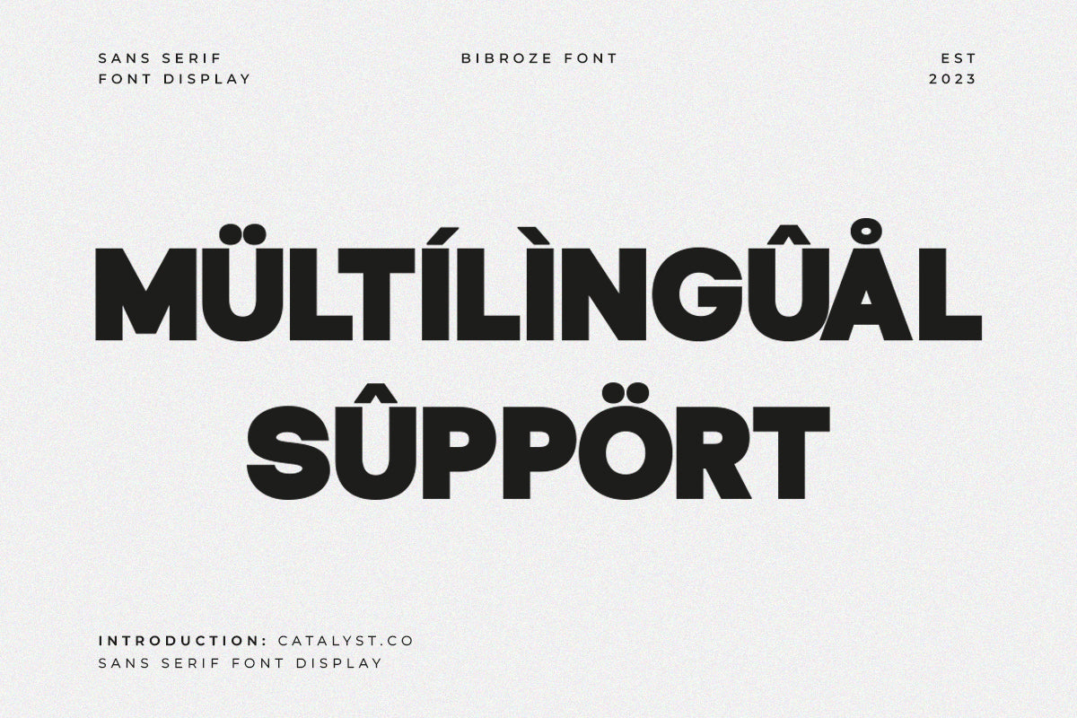 bibroze-sans-serif-display-font-catalystco-studio-4.jpg