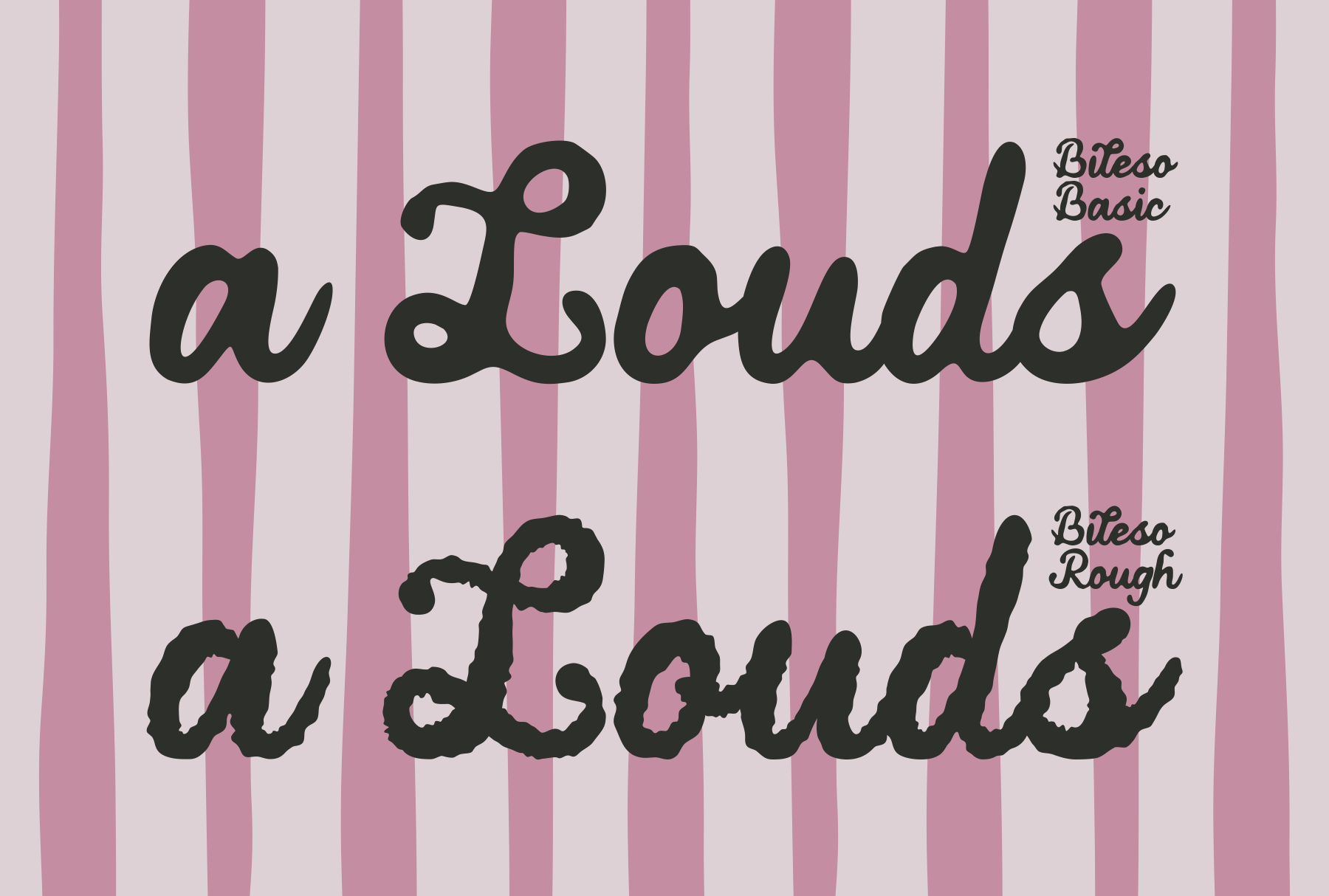 bileso-script-marvadesign-7.png