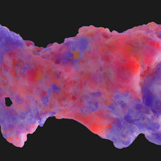 Biomorphic Futurism - Collection