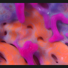 Biomorphic Futurism - Vol 01
