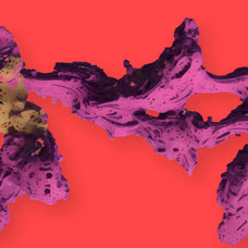 Biomorphic Futurism - Vol 01