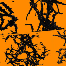 Biomorphic Futurism - Vol 02