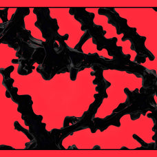 Biomorphic Futurism - Vol 02