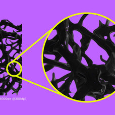 Biomorphic Futurism - Vol 02