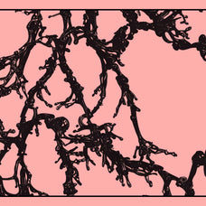 Biomorphic Futurism - Vol 02