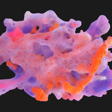 Biomorphic Futurism - Vol 03