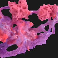 Biomorphic Futurism - Vol 03