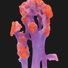 Biomorphic Futurism - Vol 03
