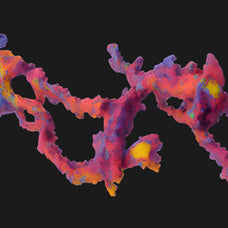 Biomorphic Futurism - Vol 04