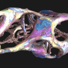Biomorphic Futurism - Vol 05