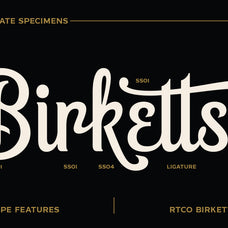 birketts-classy-motorcycle-font-roams-type-co-4.jpg