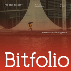Bitfolio Contemporary Serif Font by Vadova Studio, preview 1