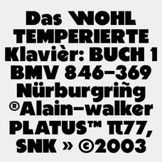 bjrn-bold-sans-serif-any-type-foundry-7.jpg