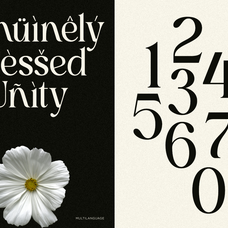 blach-narative-beauty-serif-font-unknown-creator-7.png