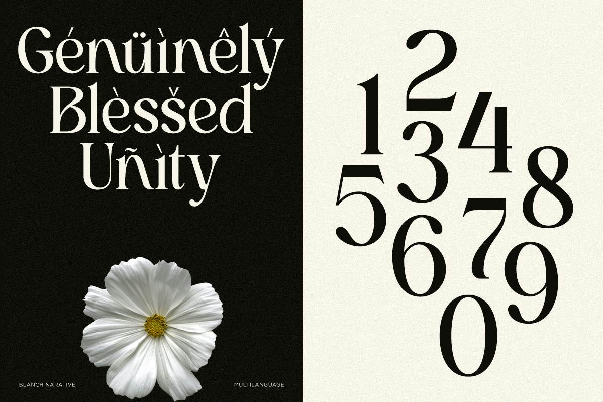 blach-narative-beauty-serif-font-unknown-creator-7.png