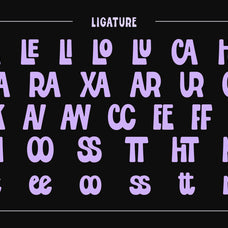 black-currant-soft-condensed-retro-display-font-roomspace-creative-lab-11.jpg