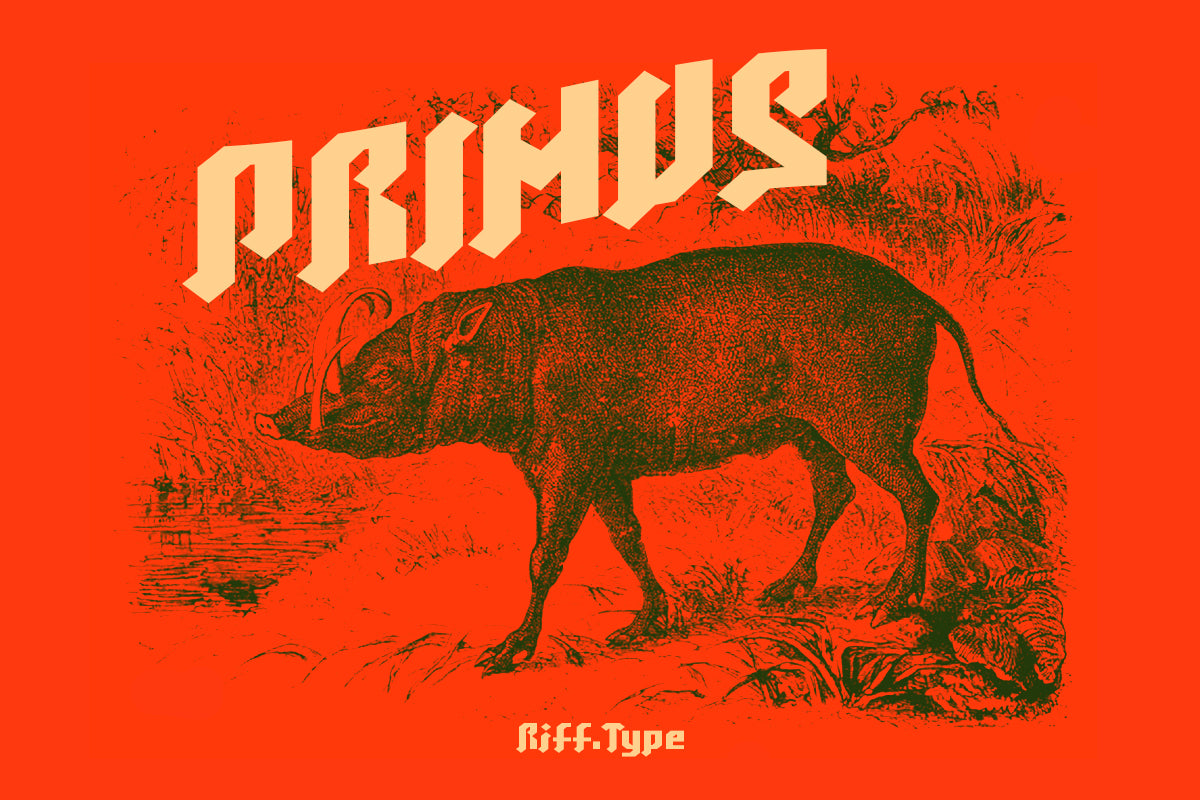 black-gedrik-ethnic-blackletter-riff-type-10.jpg