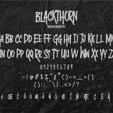 blackthorn-modern-brushtype-tyedge-studio-4.png