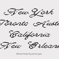 blicker-feast-jolicia-type-3.png