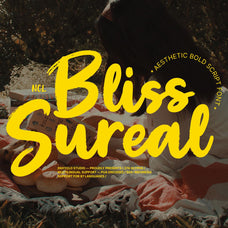 bliss-sureal-bold-brush-script-font-unknown-creator-11.jpg