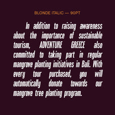 blonden-condensed-sans-serif-craft-supply-co-7.jpg