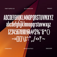 blonden-condensed-sans-serif-craft-supply-co-8.jpg