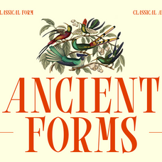 blure-high-contrast-editorial-serif-font-unknown-creator-3.png