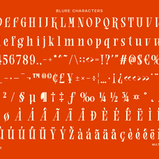 blure-high-contrast-editorial-serif-font-unknown-creator-9.png