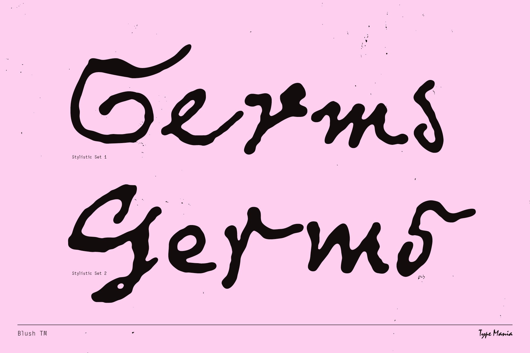 blush-tm-type-mania-5.jpg