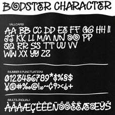bodster-playful-handdrawn-bentype-studio-5.jpg
