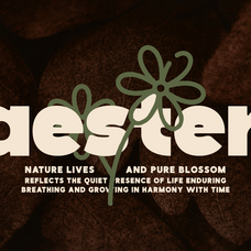 boldeon-bold-modern-display-font-rasio-std-5.png