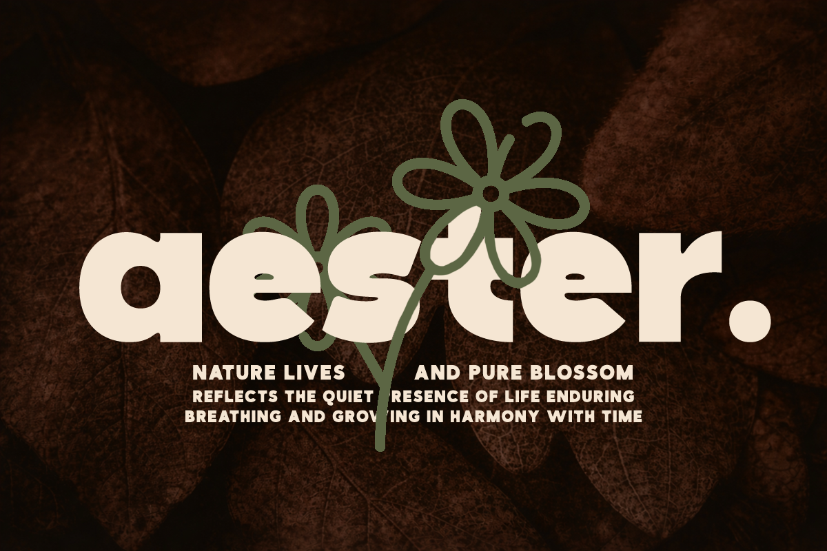 boldeon-bold-modern-display-font-rasio-std-5.png