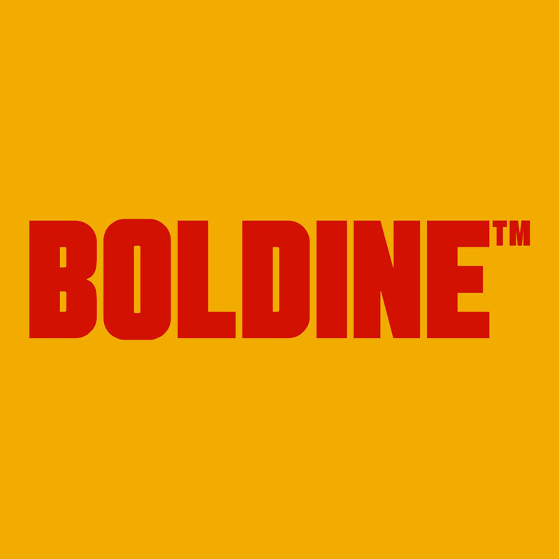 boldine-fatehlab-1.jpg