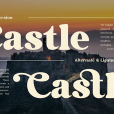 bolstia-retro-display-serif-roomspace-creative-lab-4.png