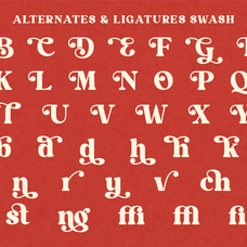 bolstia-retro-display-serif-roomspace-creative-lab-8.png