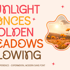 bomera-experience-experimental-sans-serif-font-say-studio-2.png