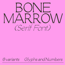 bone-marrow-font-blaine-pate-studio-1.png
