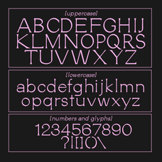 bone-marrow-font-blaine-pate-studio-4.png
