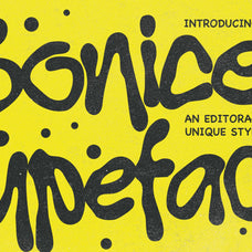 bonices-editorial-display-typeface-blankids-4.jpg