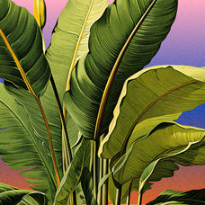 BOOK OF FLOWERS 3 Tropical