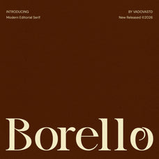 borello-modern-editorial-serif-font-vadova-studio-1.jpg